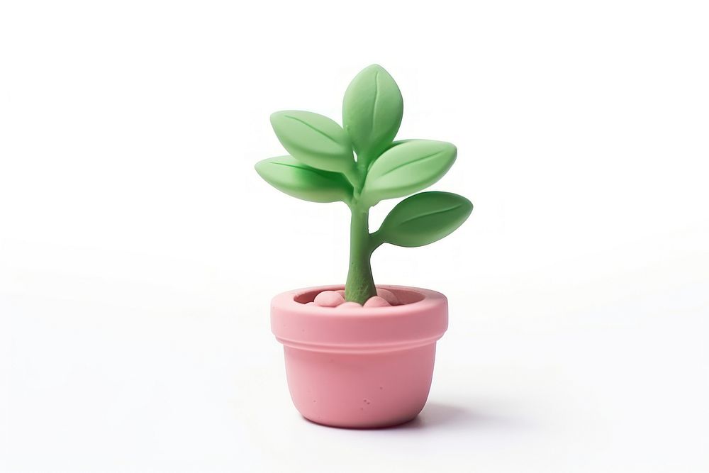 Little plant leaf white background houseplant. AI generated Image by rawpixel.