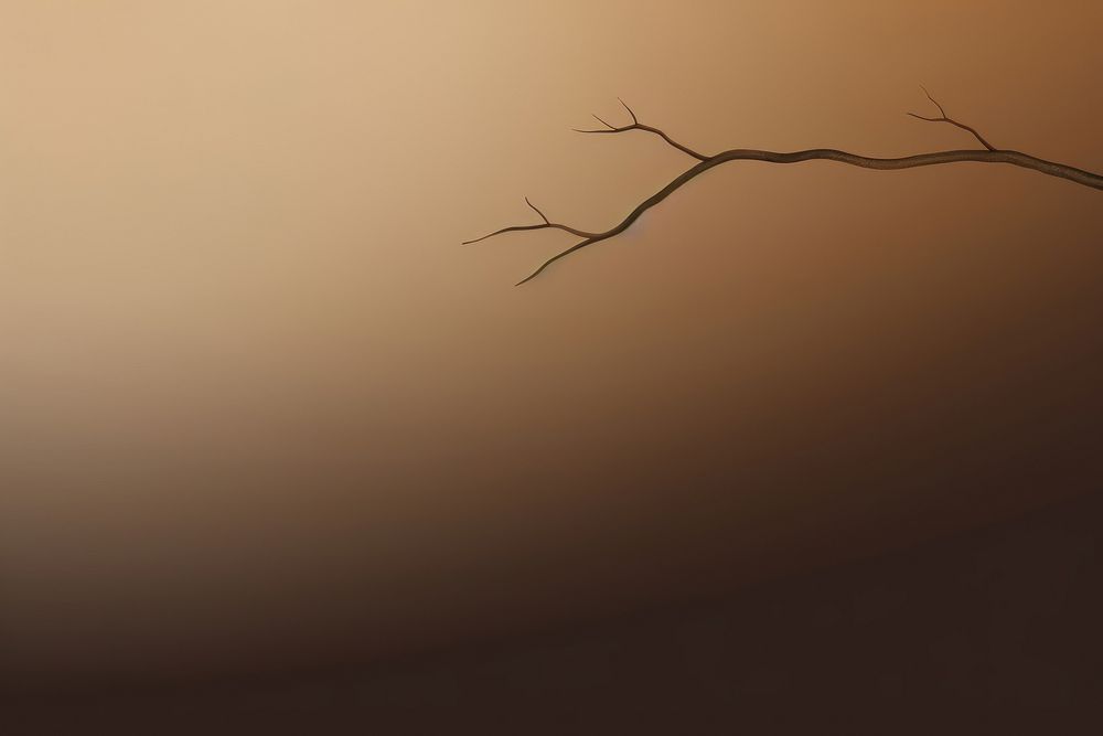 Brown backgrounds branch nature. AI generated Image by rawpixel.