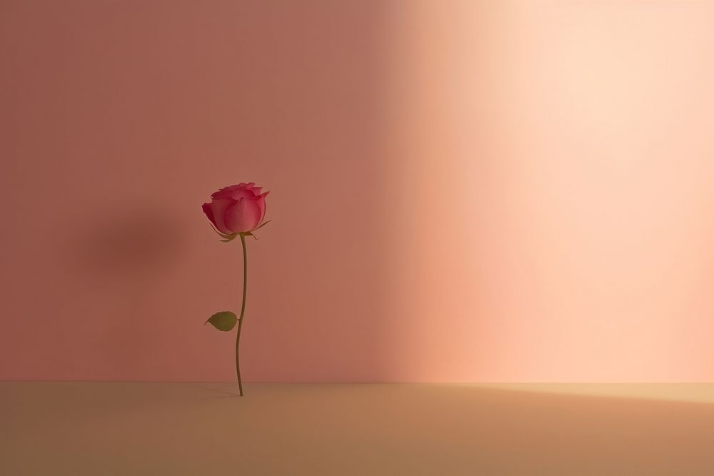 Pink rose flower petal. AI generated Image by rawpixel.