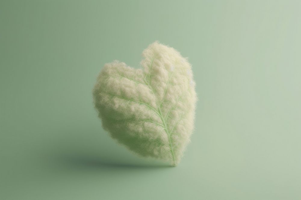 Leaf icon shape plant softness nature. AI generated Image by rawpixel.