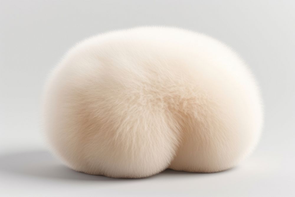 Mushroom shape mammal white fur. AI generated Image by rawpixel.