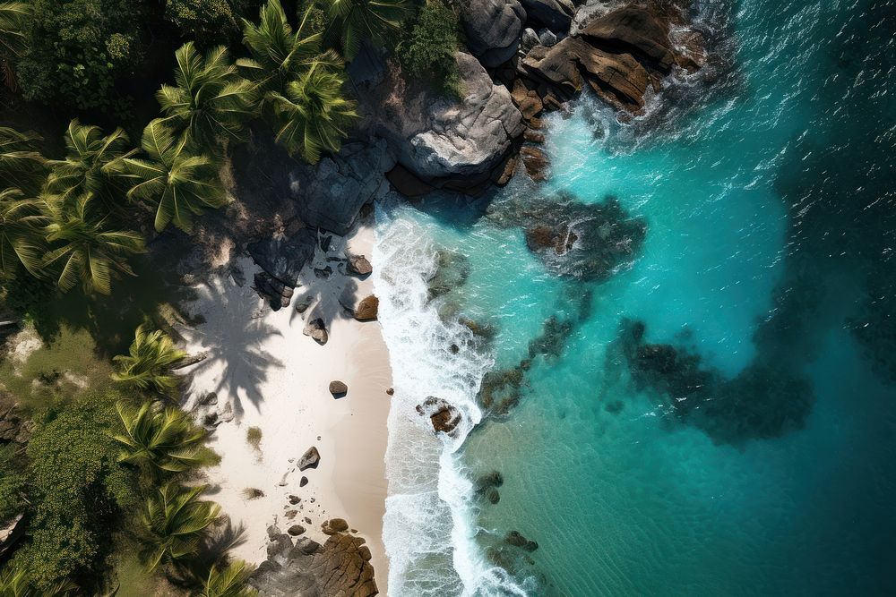 Tropical beach nature outdoors tropics. AI generated Image by rawpixel.