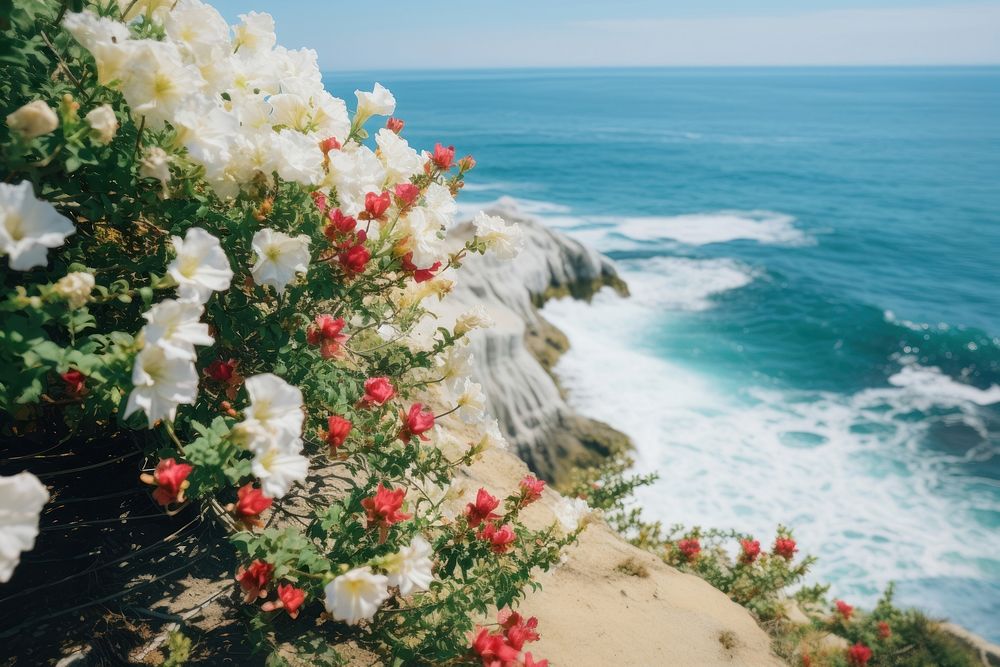Nature flower beach landscape. AI generated Image by rawpixel.