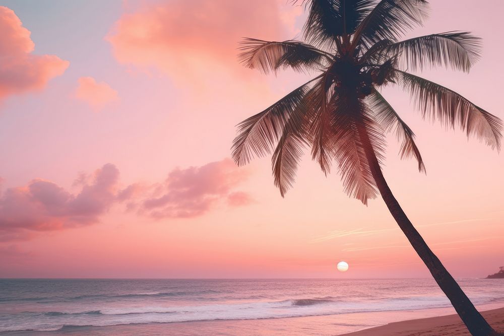 Palm tree and sunset beach outdoors horizon nature. AI generated Image by rawpixel.