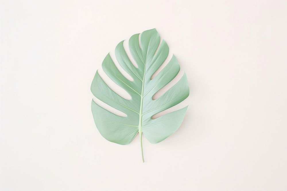Tropical leave plant leaf pattern. AI generated Image by rawpixel.