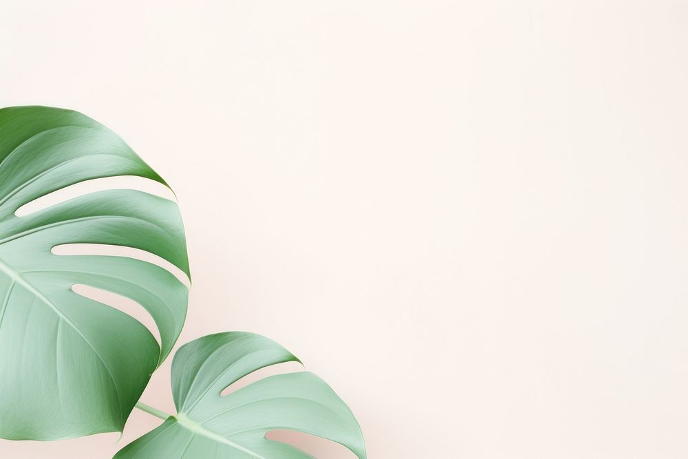 Tropical leave backgrounds plant leaf. AI generated Image by rawpixel.