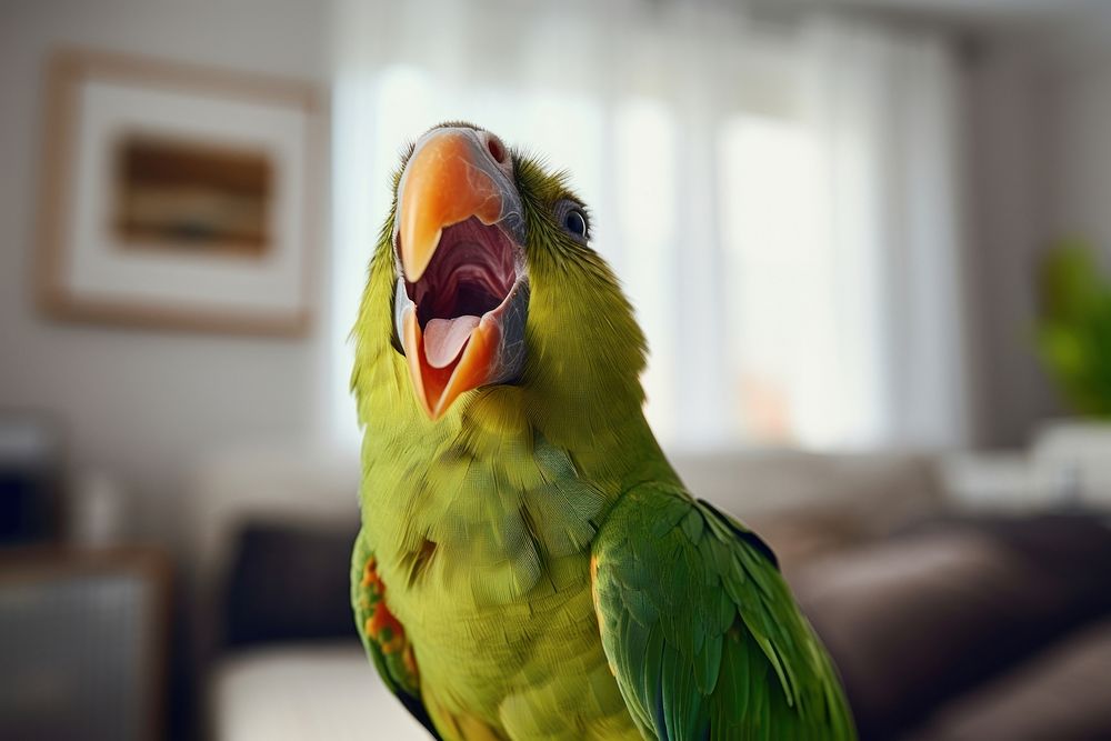 Green parrot singing in the living room animal bird beak. AI generated Image by rawpixel.