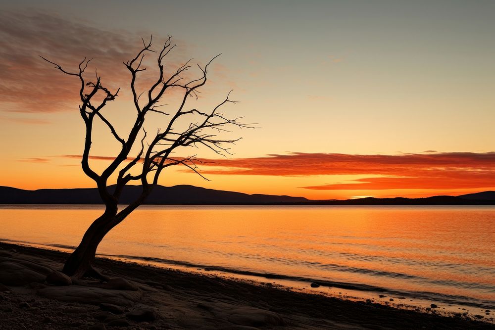 Tasmania Australia outdoors nature sunset. AI generated Image by rawpixel.