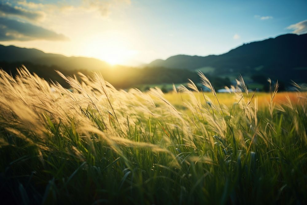 Nature grass field landscape. AI generated Image by rawpixel.