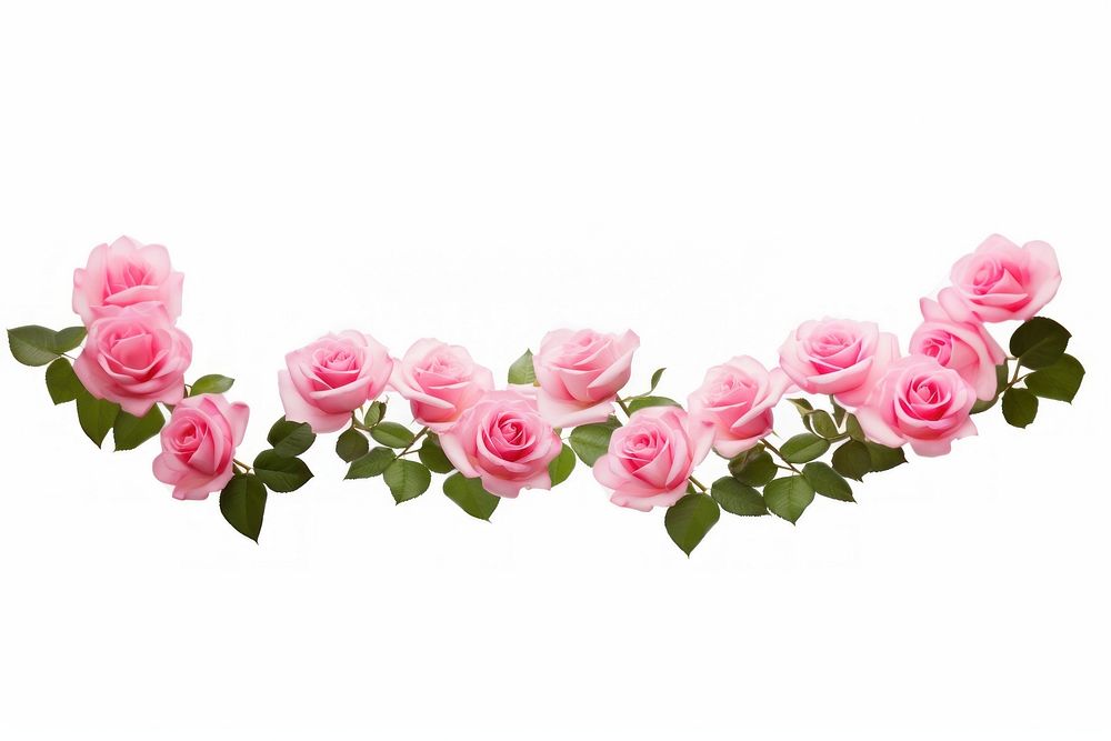 Pinkrose border website for use flower petal plant. AI generated Image by rawpixel.