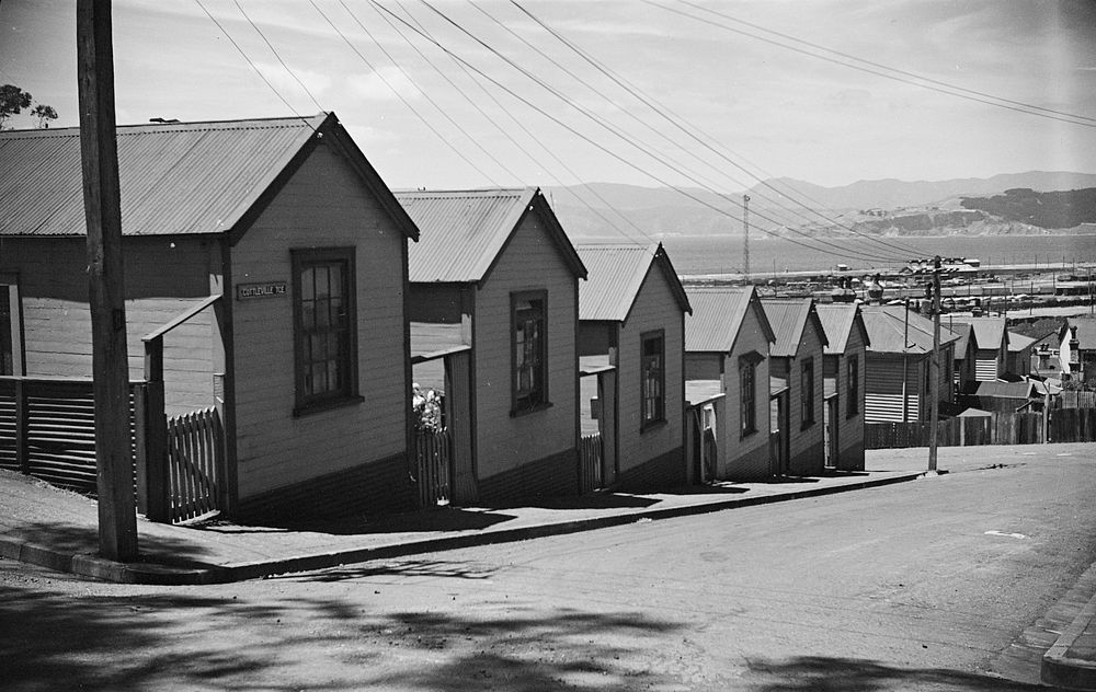 Williamson Housing in Wellington : Fitzherbert Terrace by J W Chapman Taylor.