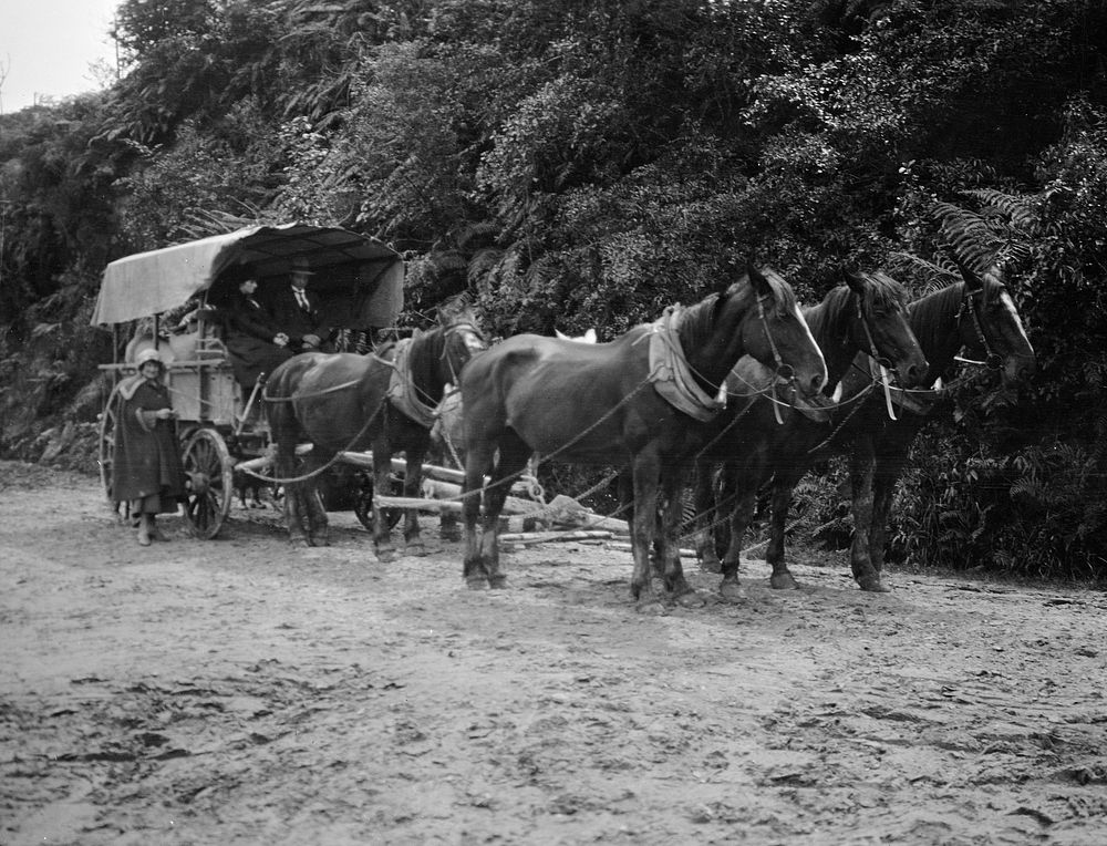 Horse-drawn wagon.