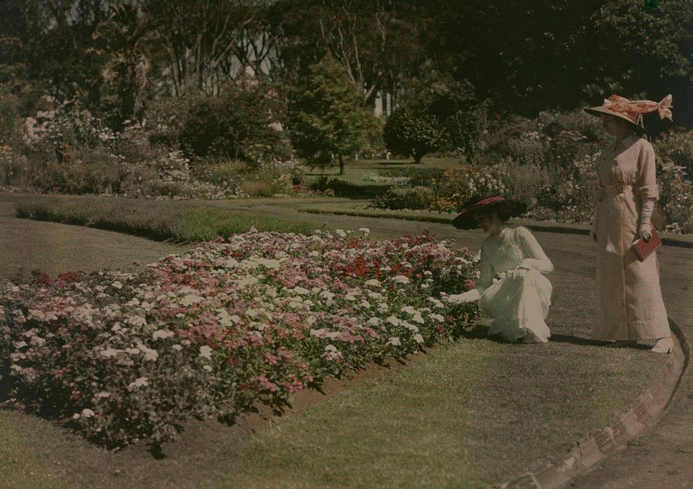 In Domain gardens (1914) by Robert Walrond.