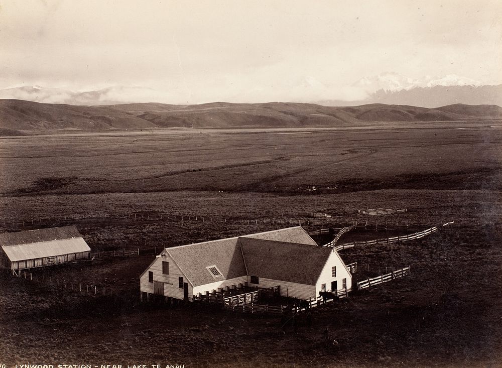 Lynwood Station, near Lake Te Anau (1889) by Burton Brothers and Alfred Burton.
