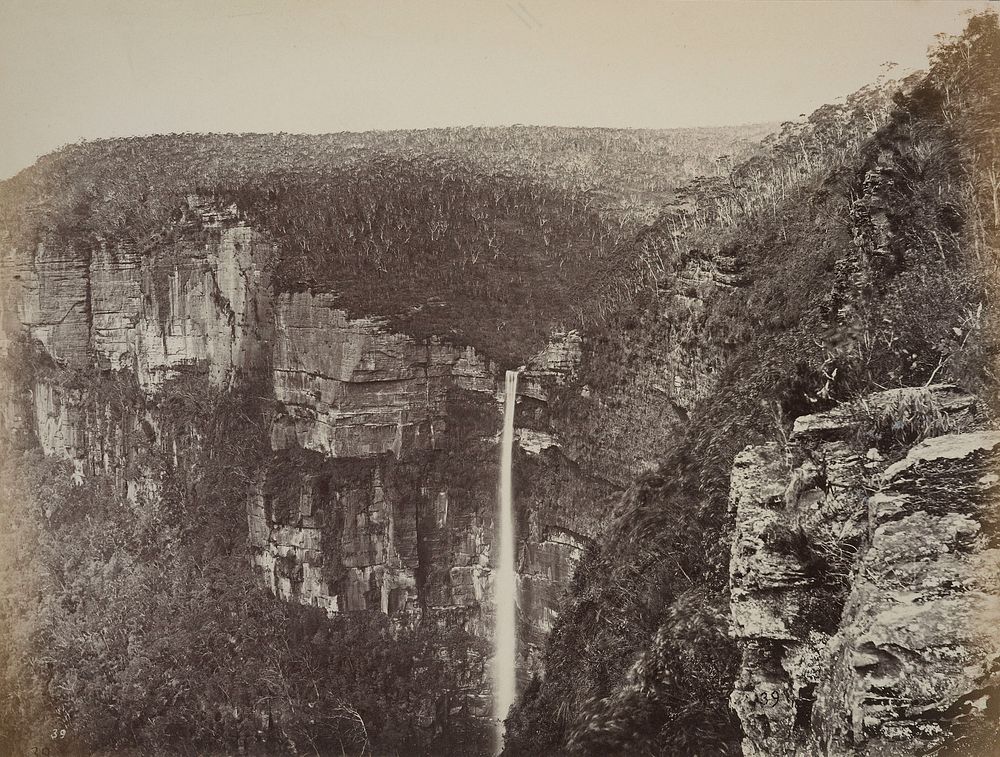 Govett's Leap Blue Mountains. N.S.W. (20 January 1880).