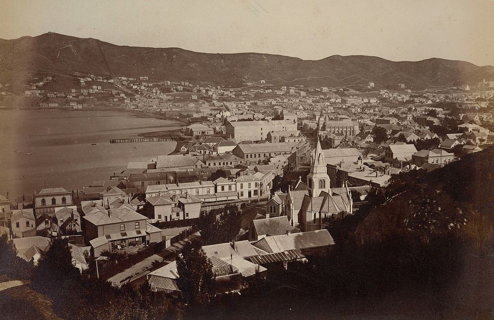 Wellington, N.Z. 27 January 1880 (1880) by James Bragge.