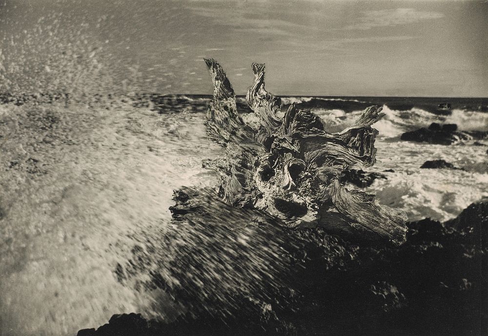 The sea gives up its dead (1940s-1950s) by J W Chapman Taylor.