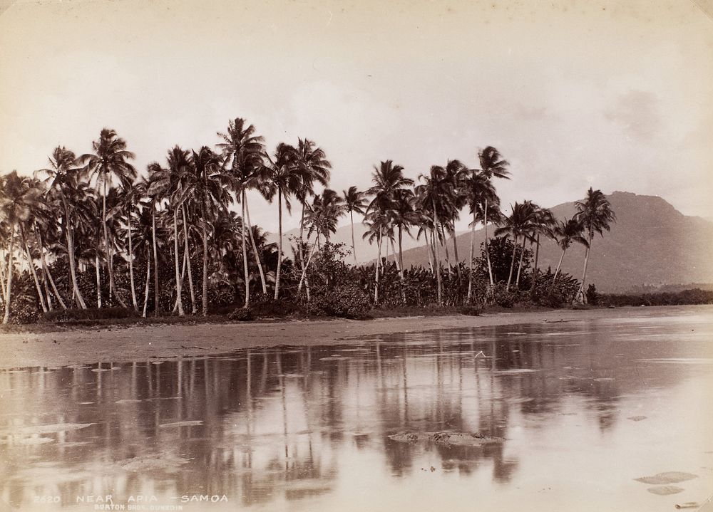 Near Apia, Samoa (1884) by Burton Brothers and Alfred Burton.
