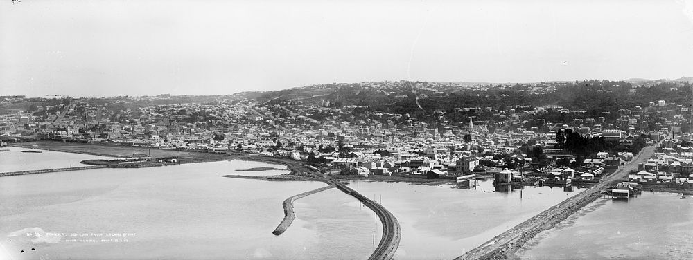 Dunedin from Logans Point (circa 1902) by Muir and Moodie.