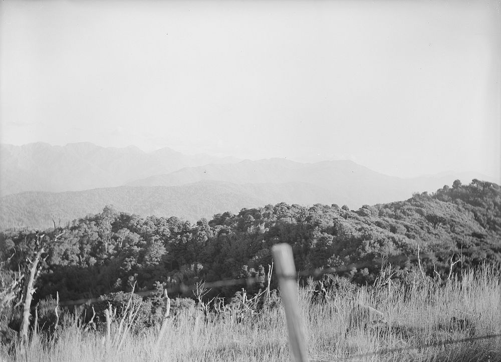 Tararua Range : Part 5 - April 1925 (April 1925) by Leslie Adkin.