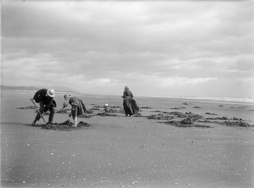 Digging for Toharoas - Hokio Beach (circa 1913) by Leslie Adkin.