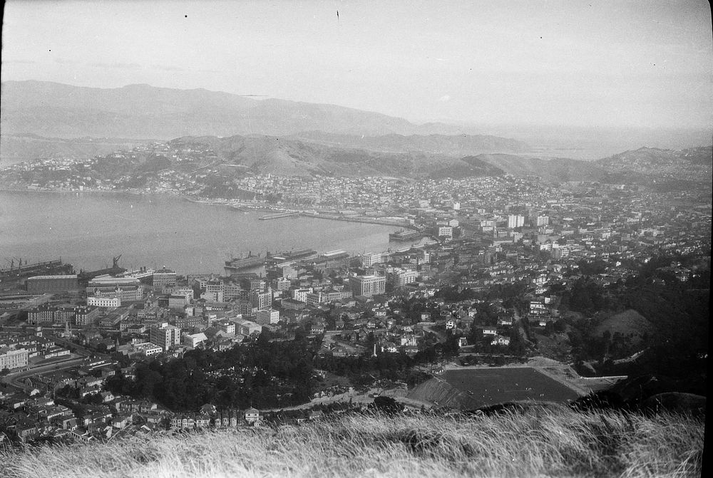[Wellington] (1920s-1930s) by Roland Searle.