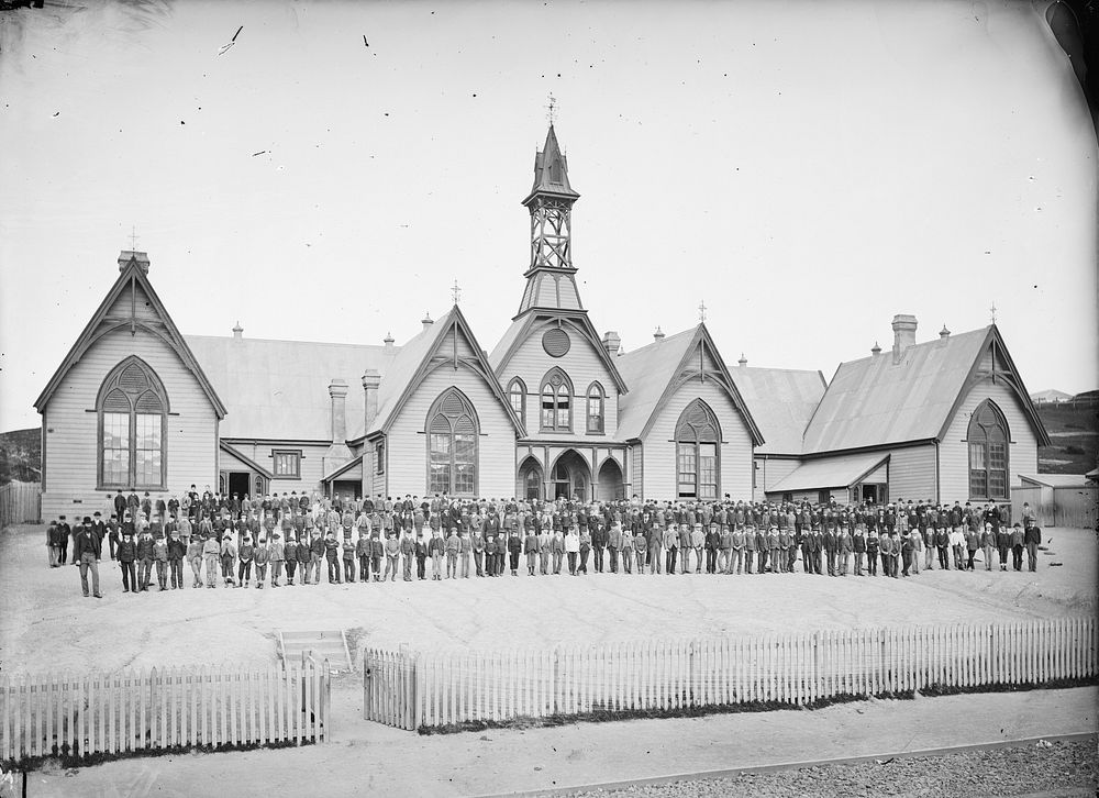 Mount Cook Boys' School (1875) by James Bragge.