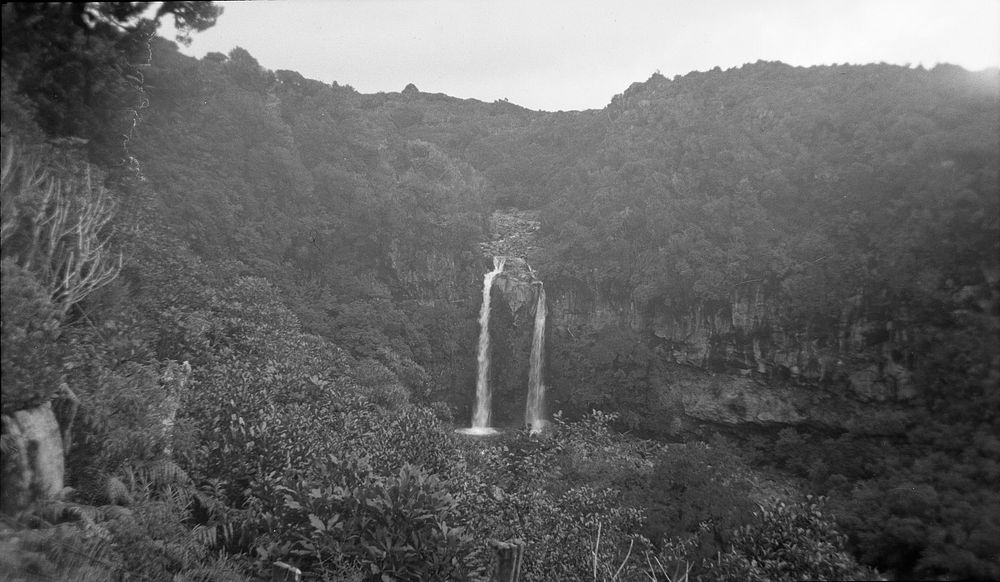 Dawson's Falls from Manaia Track (29) (15 March 1941) by Leslie Adkin.
