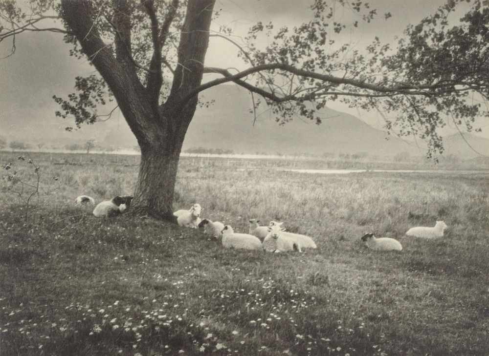 Green Pastures (circa 1935-1939) by Marion Queenie Kirker.
