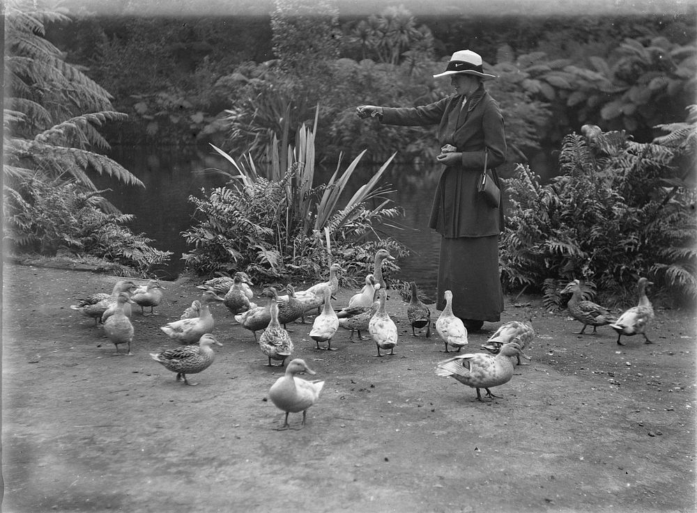 Feeding the ducks at Lower Lake (18 December 1915) by Leslie Adkin.