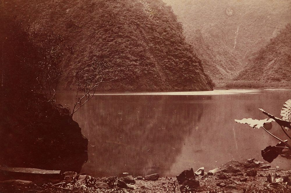 Still lake. From the album: Tahiti, Samoa and New Zealand scenes (1885-1900).