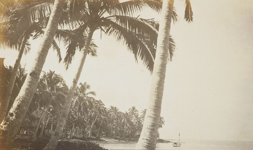 Beach scene  From the album: Samoa (circa 1916).