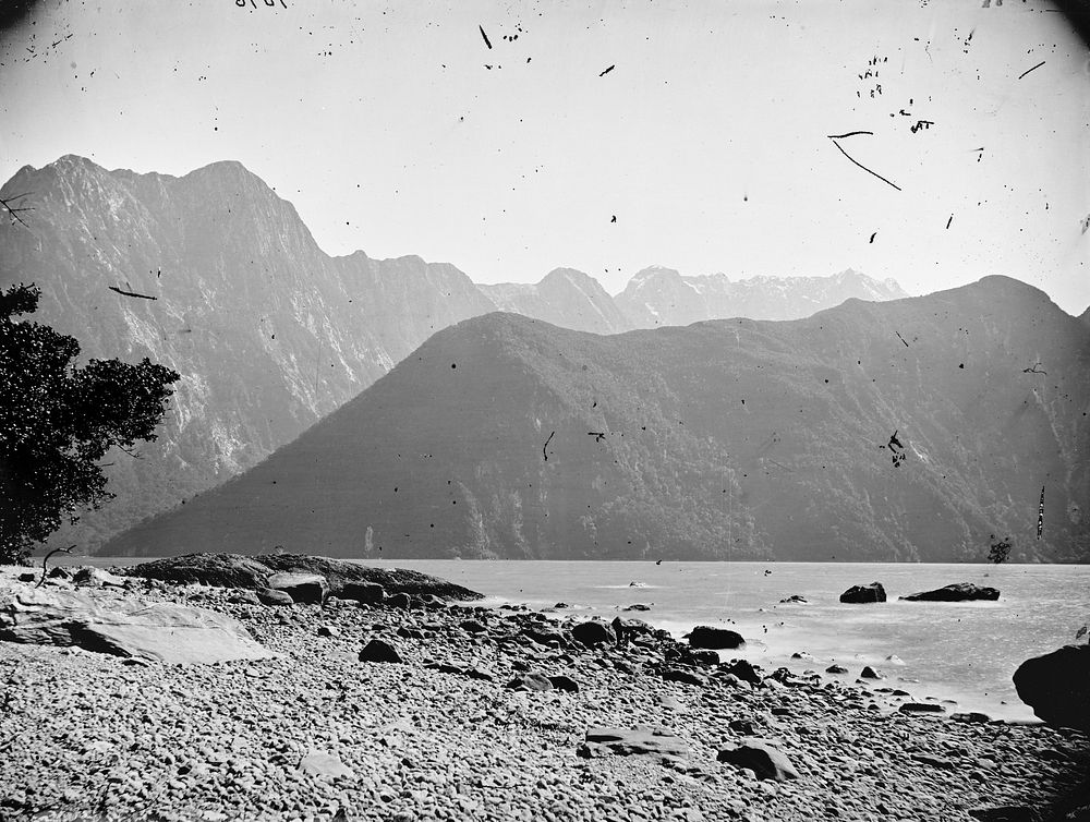[Llawrenny Peaks, Milford Sound] (1879) by Burton Brothers and Alfred Burton.