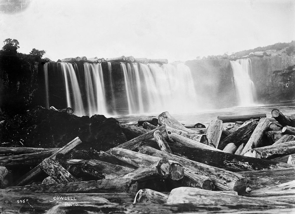 [Kauri logs and waterfall] by Joseph Cowdell and Muir and Moodie.