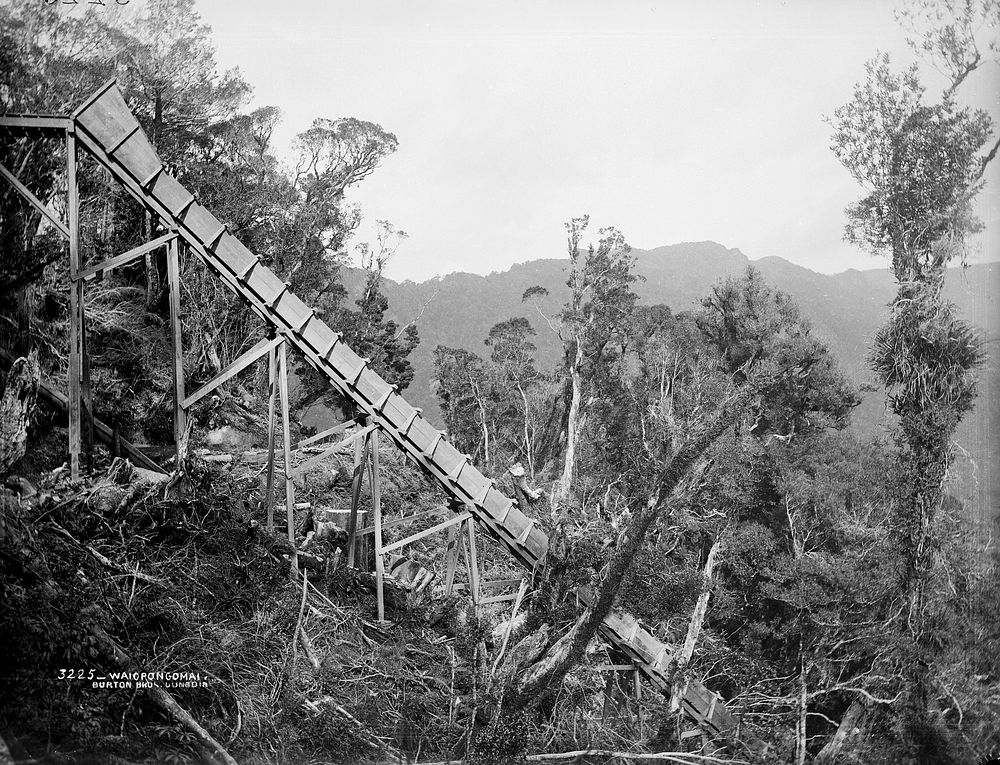 Waiorongomai (1880s) by Burton Brothers.