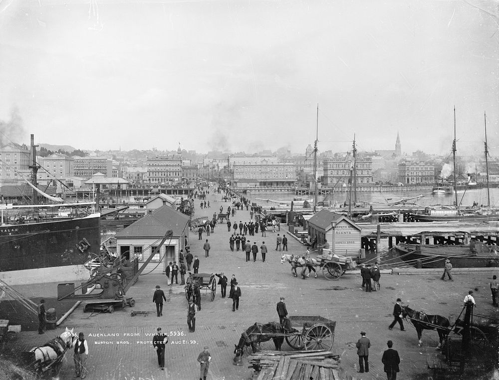 Auckland from wharf by Burton Brothers.