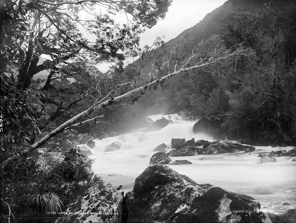 Upper Arthur River, Milford Sound, New Zealand by Frank Coxhead and Burton Brothers.