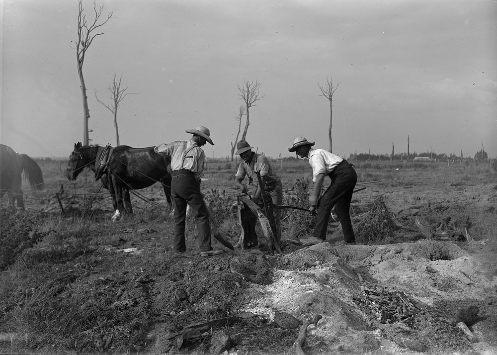 Preparing for Ploughing (1909) by Fred Brockett.