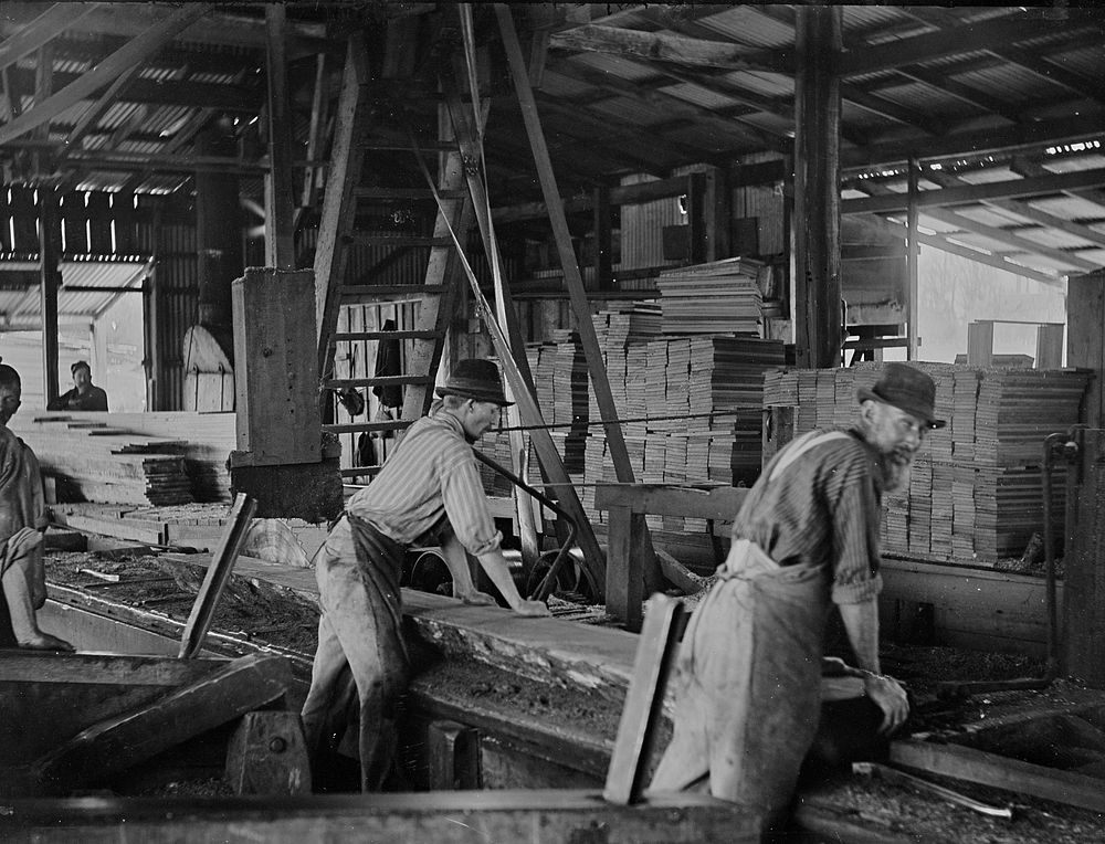 Taranaki Industry (circa 1908) by Fred Brockett.