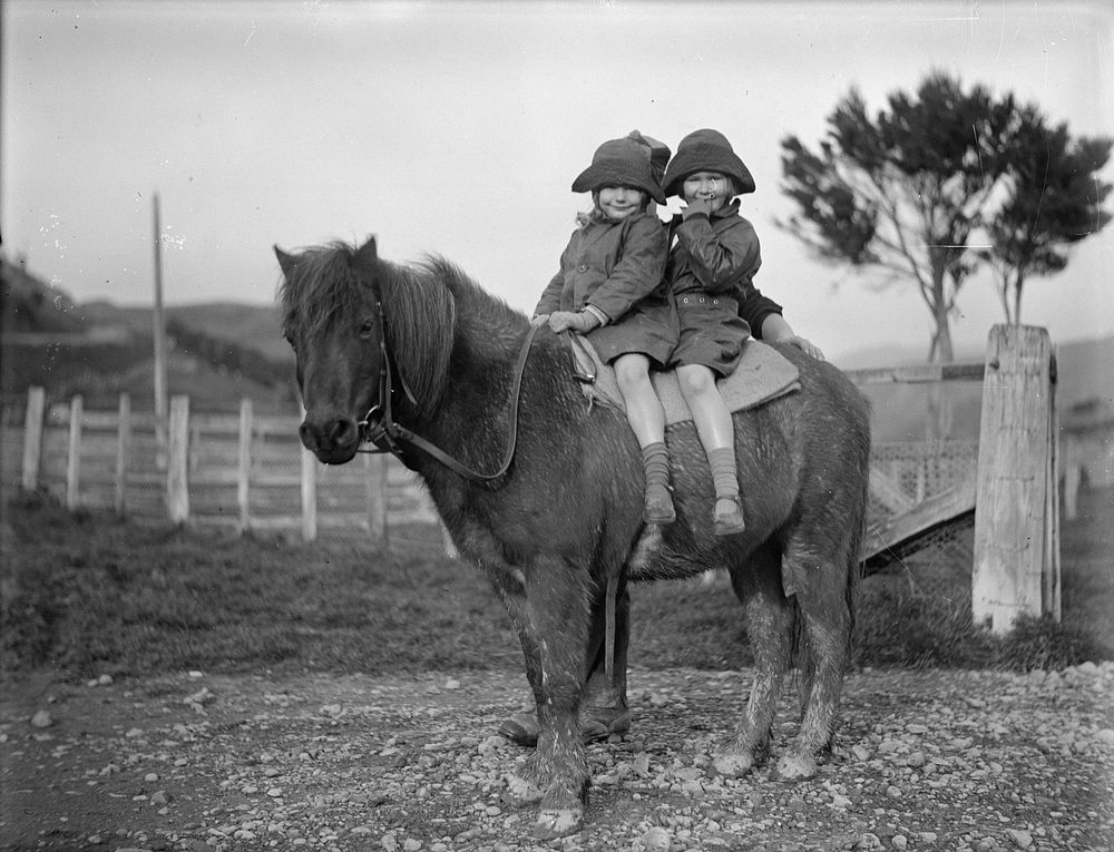 Two children on a pony (1880-1925).