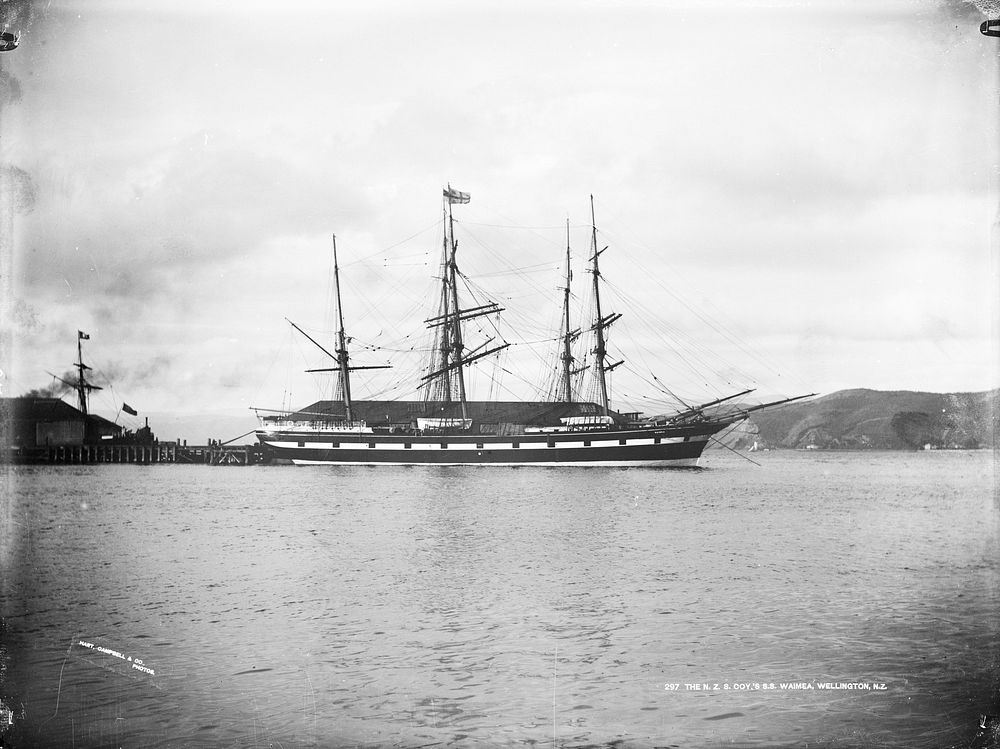 The N.Z.S. Coy.'s S. S. Waimea, Wellington, N.Z. (1883) by William Hart and Hart Campbell and Co.