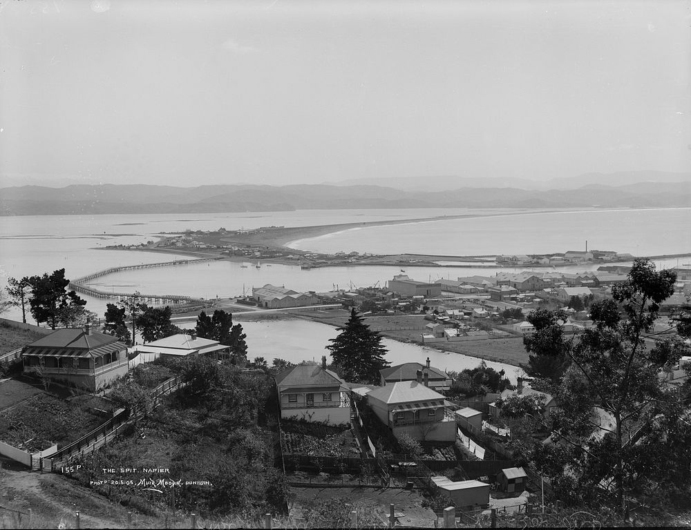 The Spit, Napier (circa 1905) by Muir and Moodie.