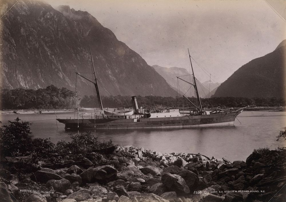 Government SS "Stella" in Milford Sound, New Zealand (1883) by William Hart and Burton Brothers.
