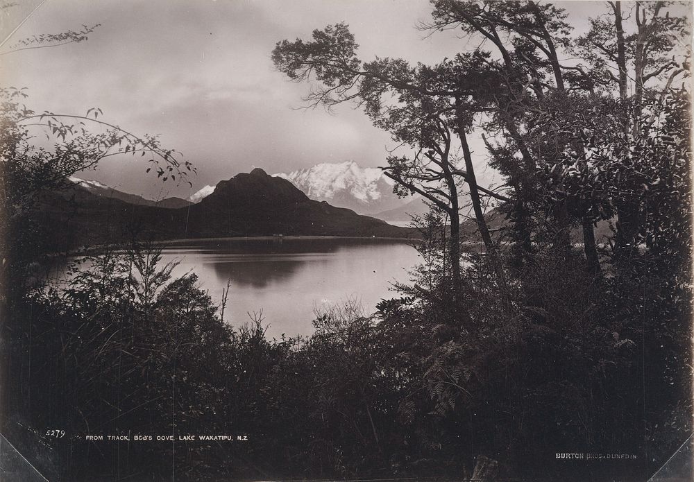From track, Bob's Cove, Lake Wakatipu (1878-1880) by William Hart, Burton Brothers and Hart Campbell and Co.