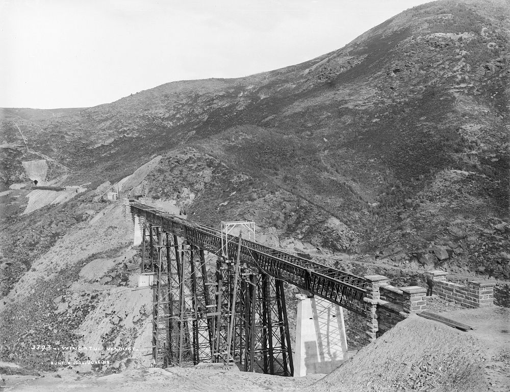 Wingatui Viaduct by Burton Brothers.