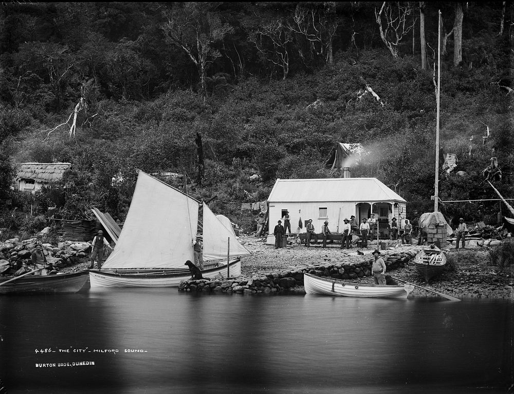 The "City", Milford Sound (1887) by Burton Brothers.