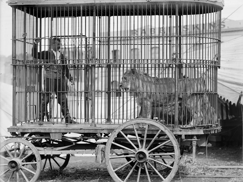Fitzgerald Brothers Circus & Menagerie (circa 1894) by Burton Brothers.