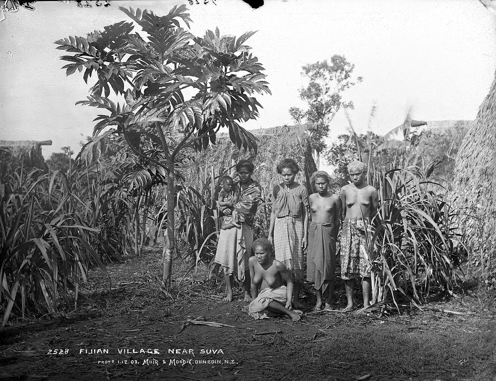 Fijian Village near Suva (12 July 1884) by Burton Brothers and Alfred Burton.