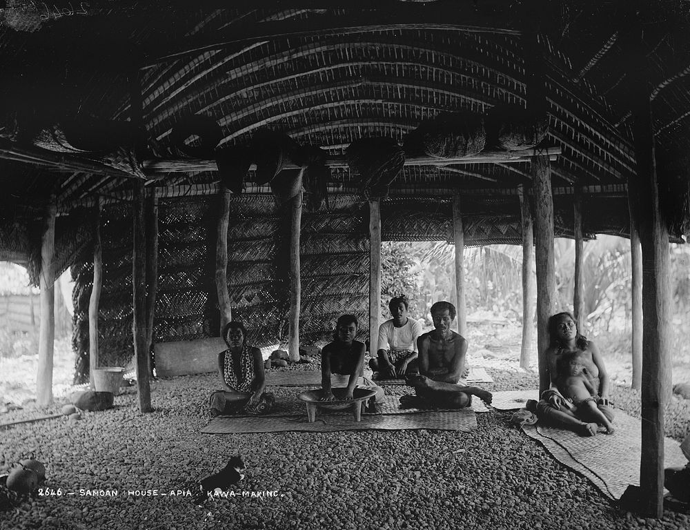 Samoan House, Apia, Kava-Making (21 July 1884) by Burton Brothers and Alfred Burton.