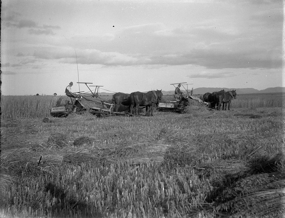 Ploughed field by Fred Brockett.